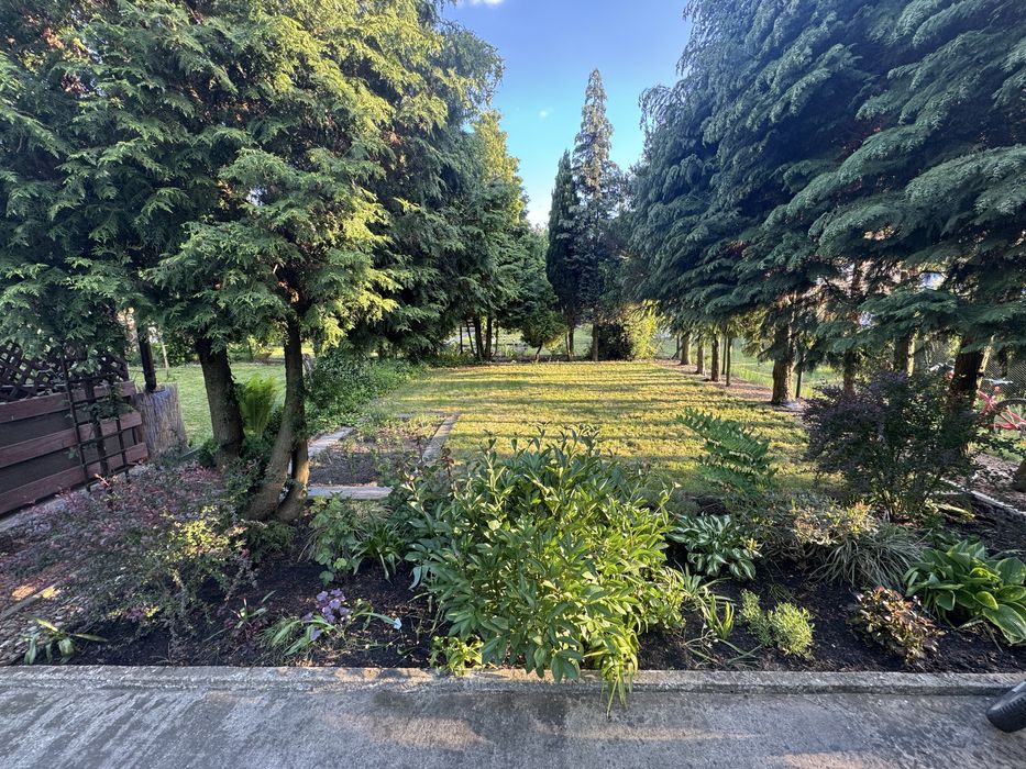 Działka ROD z domkiem i  wyposażeniem – gotowa do użytkowania!