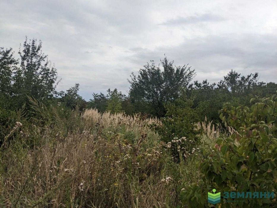 Продається ділянка в Клузові 9 сот (8)