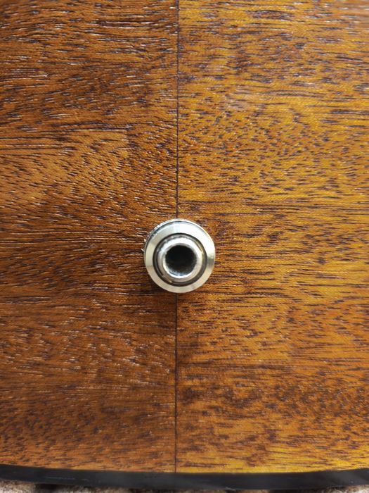 Трансакустична гітара.