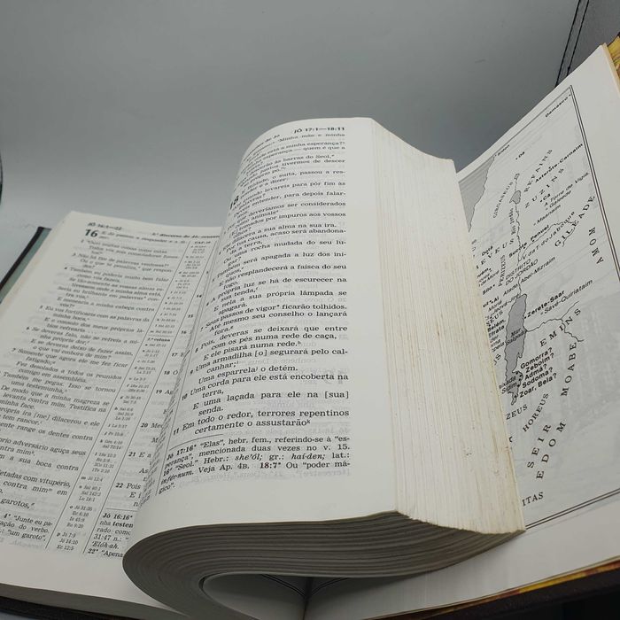 Livro - Tradução do Novo Mundo das Escrituras Sagradas - Ref-EM