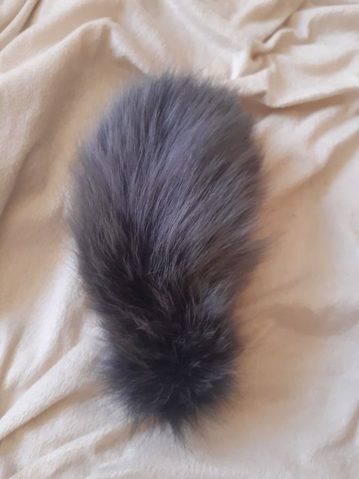 Szary ogon lisa np do torebki