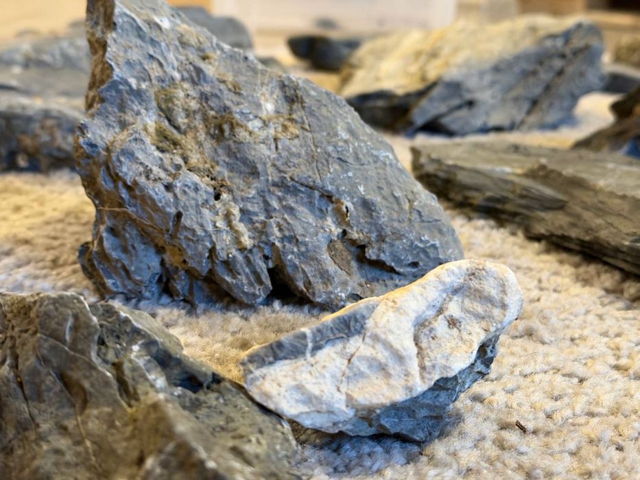 Kamienie do akwarium – Seiryu Stone / Aquascaping / Skały dekoracyjne