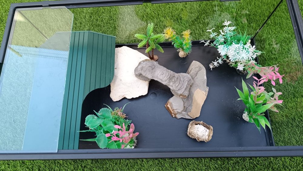 Tartarugueira/ Terrarium