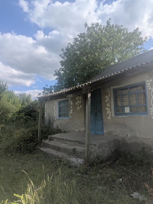 Продам будинок в мальовничому селі