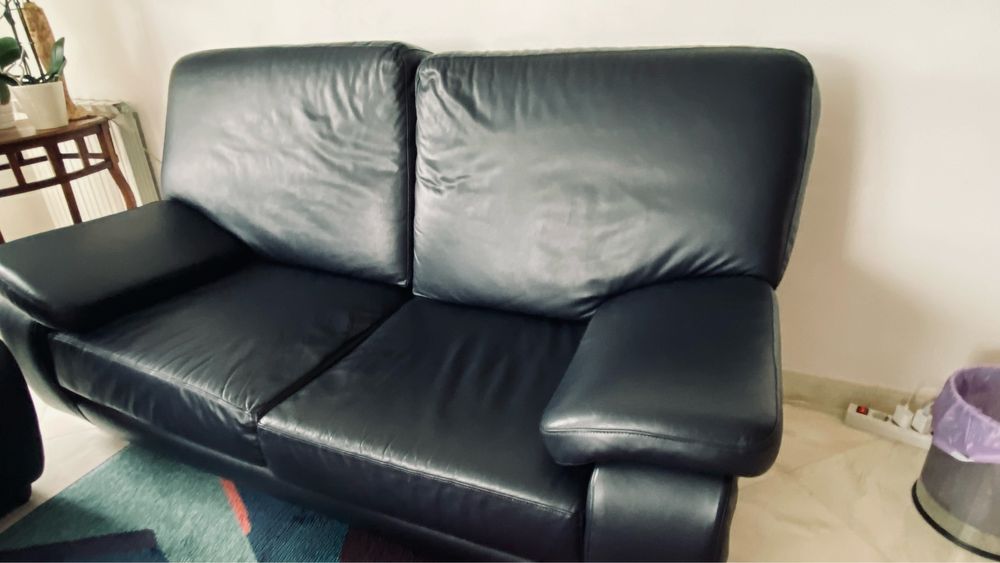 2 Sofas em pele verdadeira