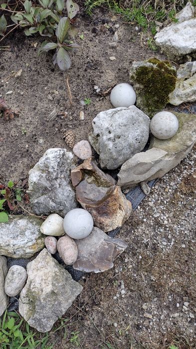 Ozdobne kamienie do ogrodu