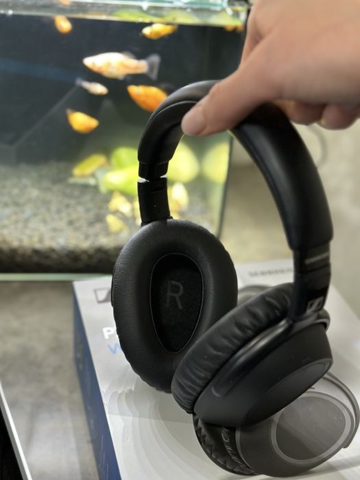 sennheiser pxc 550 - наушники и аксессуары - OLX.ua