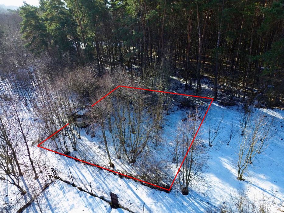 Дачні земельні ділянки біля лісу поруч з Львовом, с. Шпильчина (19 км)