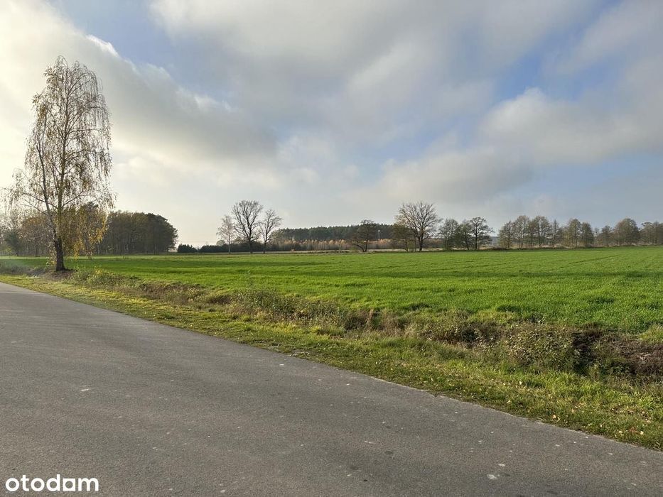Działka 1040 m² | WZ | media | asfalt | spokojna okolica PROMOCJA - View 5