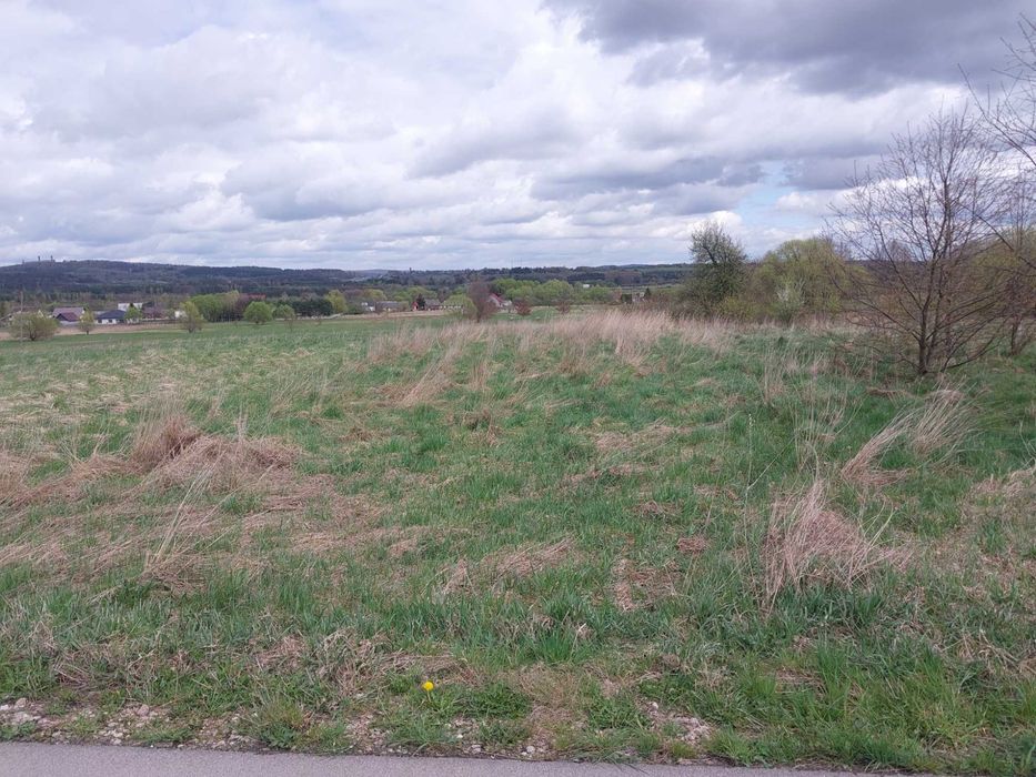 Działka rolno-budowlana 2900 m² - Widok 3