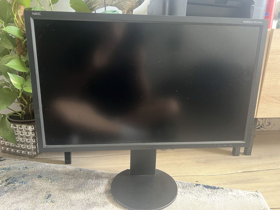 Monitor nec multisync