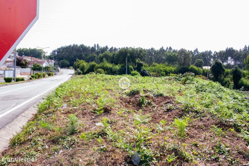 Terreno para Venda em São Paio de Oleiros – Oportunidade de Investimen