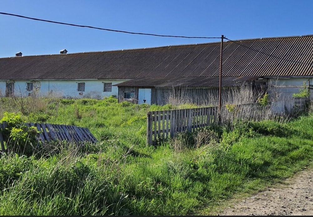 Продам свинарники