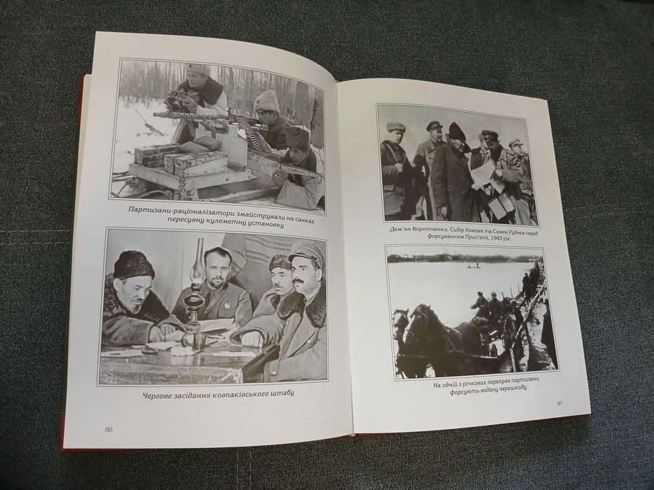 В. Черкас "Партизанський стратег" (С.А. Ковпак)