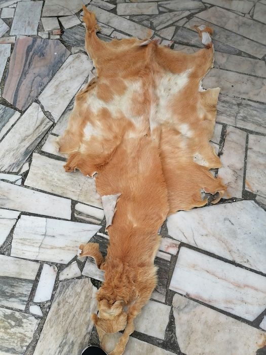 Pele seca de animal, para decoração