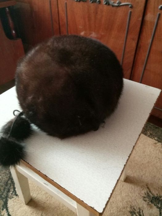 Бeрет норка