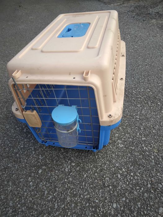 gatos felizes - caixas transportadoras