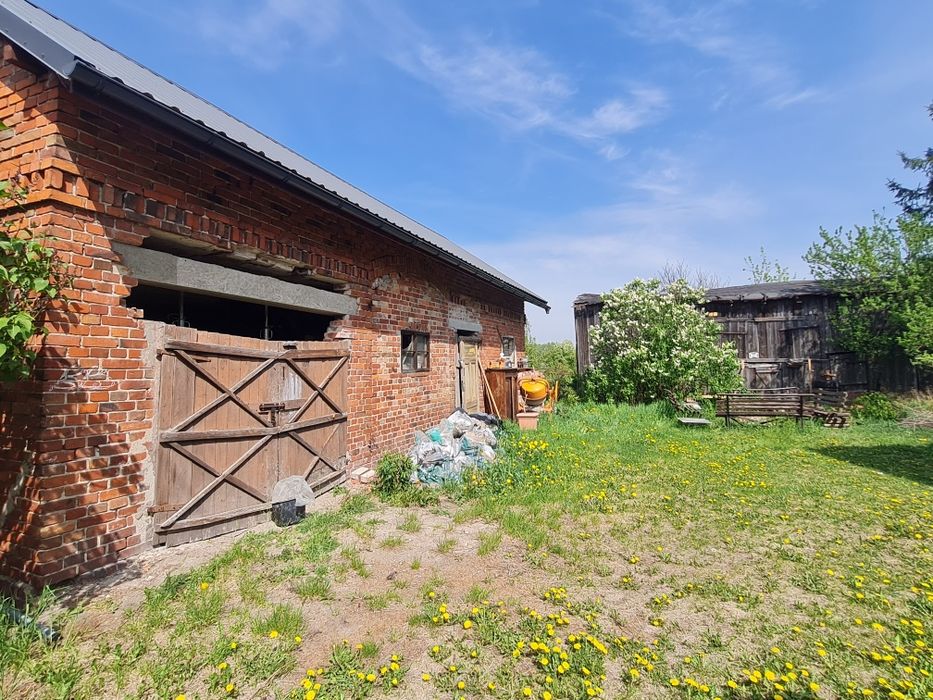 House in Bydgoszcz, Zawisza - More