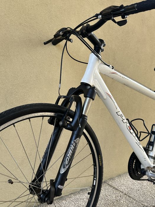 Bicicleta Adulto