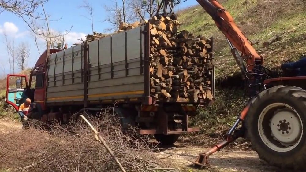Дрова колоті з доставкою дубові дрова мякі кленові дрова соснові дрова