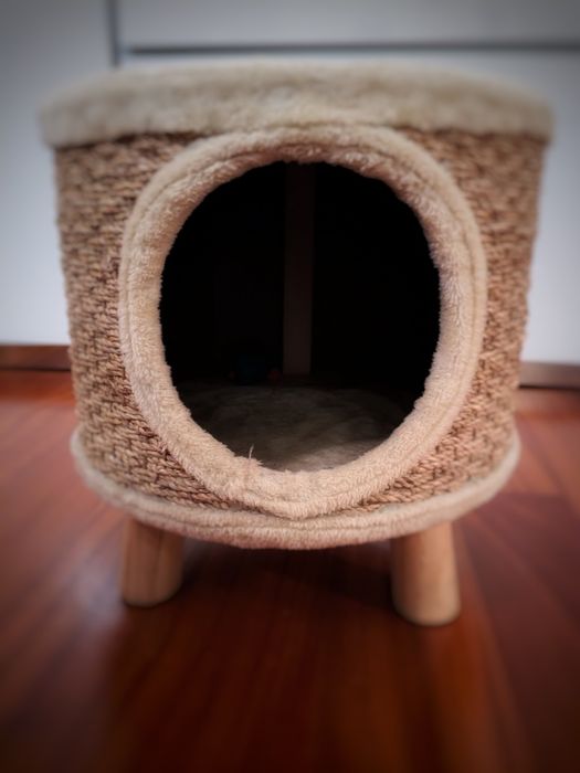 Arranhador gato e casota