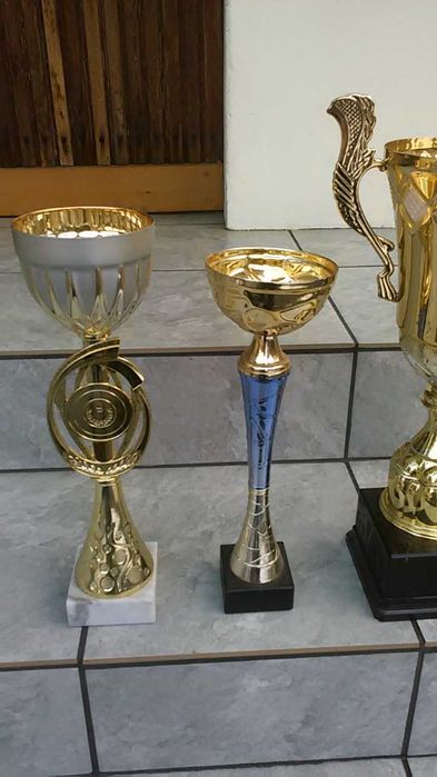 Puchary sportowe