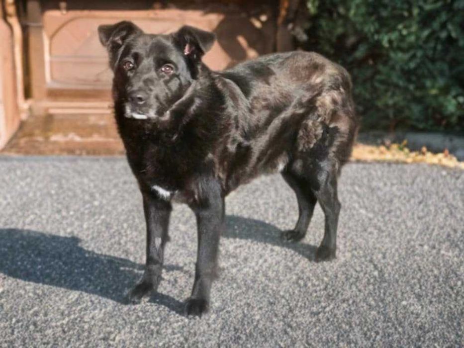 Luka i Diego szukamy cudu ale próbujemy