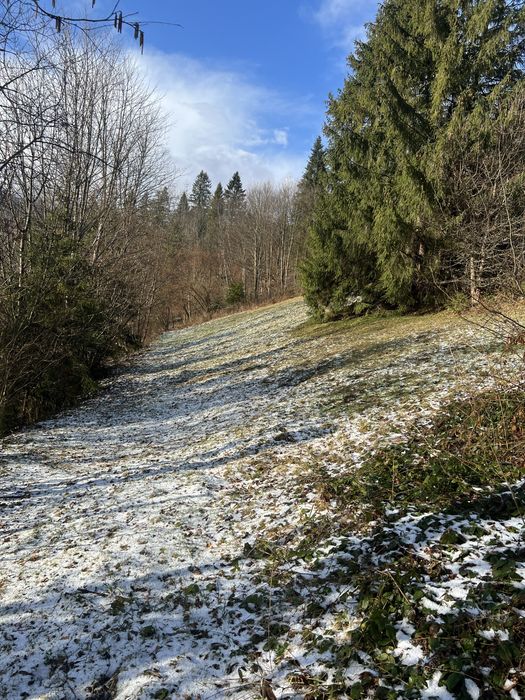 Продам земельну ділянку Славське 20 сотих