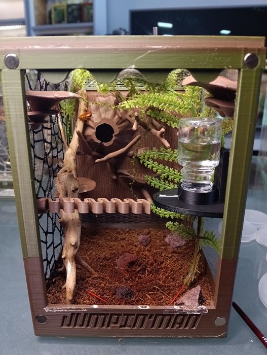 Terraria skakun terrarium i akcesoria skakuny różne kolory i warianty