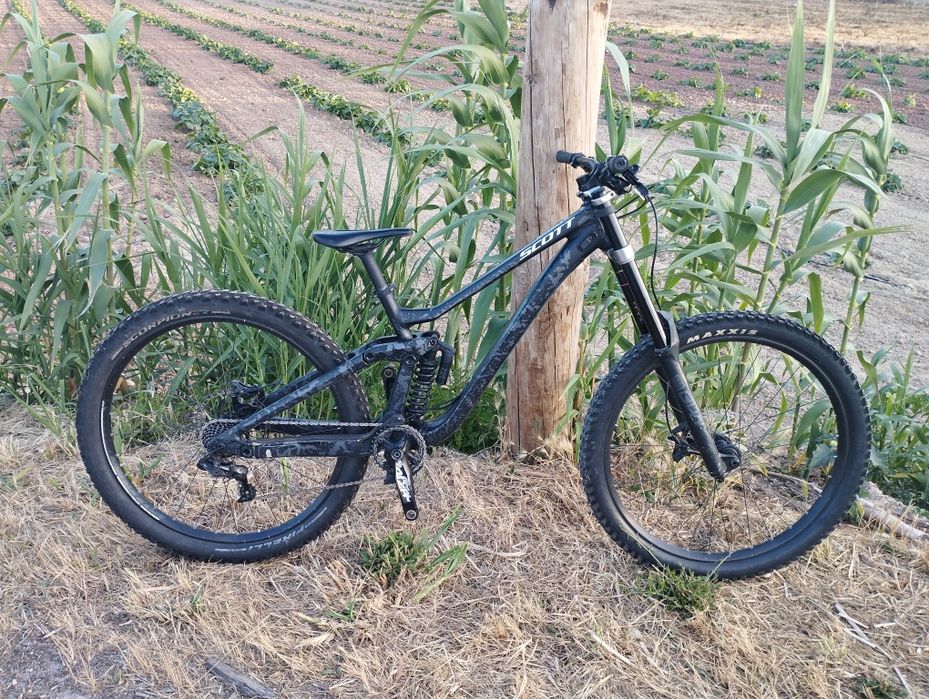 Scott gambler 930