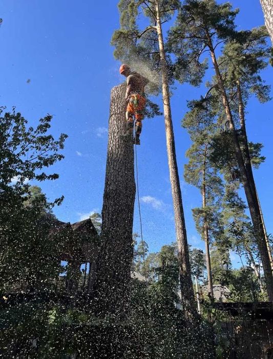 Випилювання та обрізання аварійних дерев
