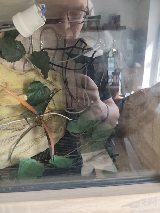 Terrarium dla gadów z wyposażeniem
