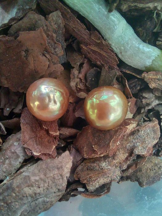 Жемчуг пресноводный, морской, касуми, акойя, барочный. Перли. Минерал