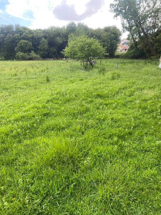 Terreno para construção e rustica perto da zona Industrial de Fiães