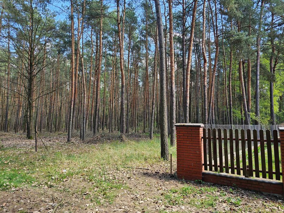 Działka budowlana zabudowa jednorodzinna PZP Siestrzeń, otulina lasu trasa s8 15min Warszawa od właściciela - Widok 4