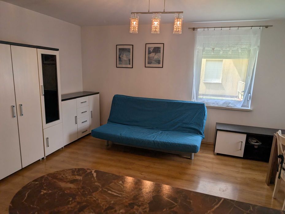 2-pokojowe mieszkanie ul. Pobiedziska, Poznań
