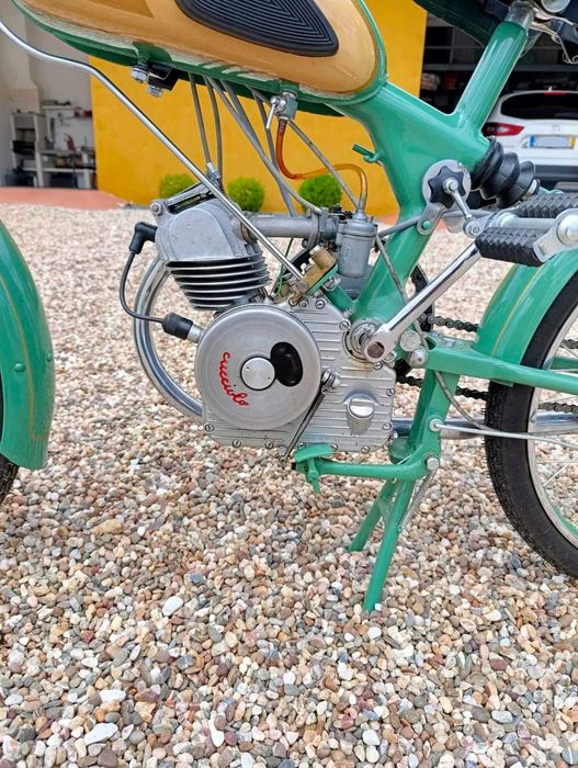 CUCCIOLO Vilar 1955
