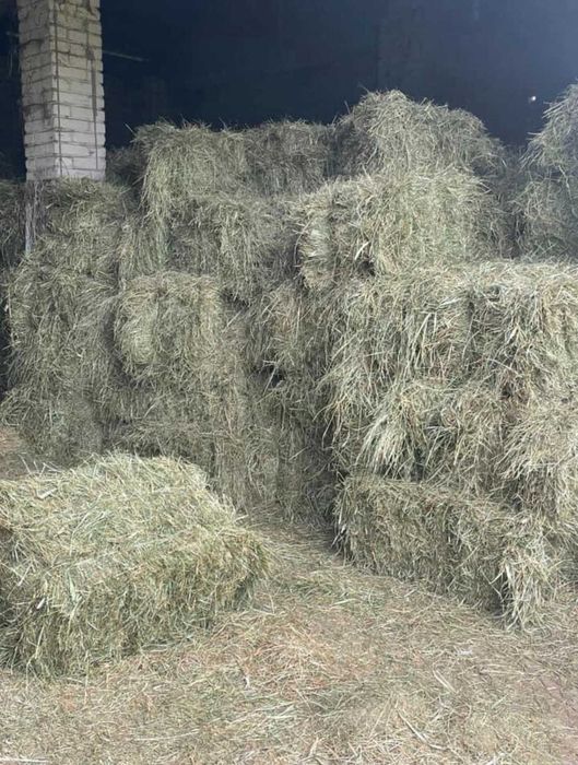 Siano okrągłe bele, duża kostka oraz mała kostka TRANSPORT CAŁA POLSKA ...