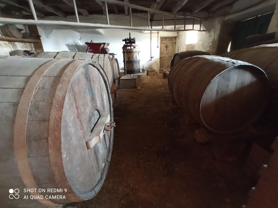 Pipos de vinho antigos