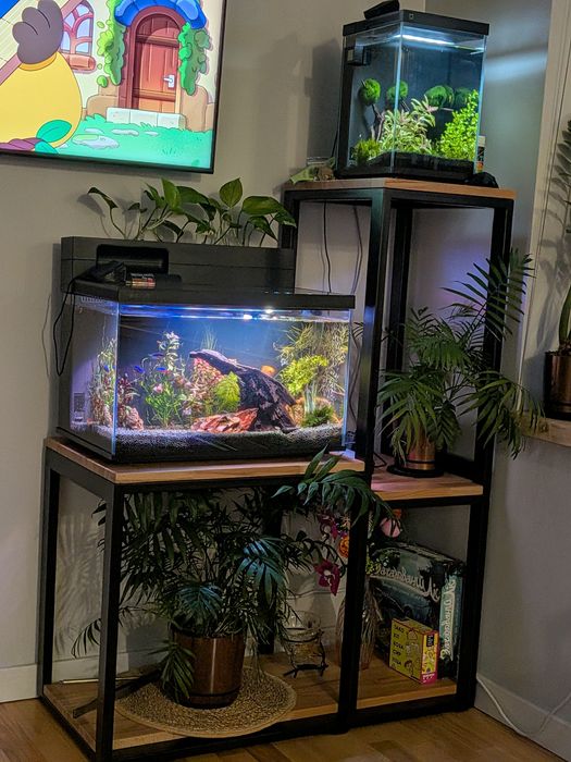 Розумний акваріум Xiaomi Mijia Smart Fish Tank M1 Ultra (32L)