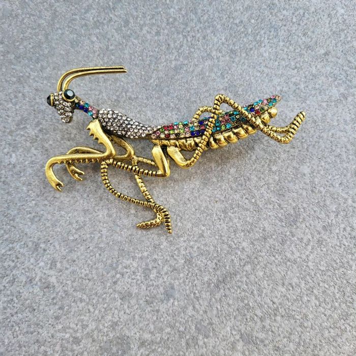 Duża broszka konik polny