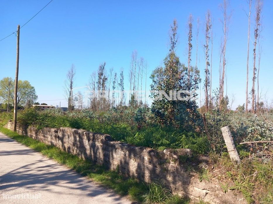 Terreno com 2.800 m² – Quinta do Loureiro, Cacia