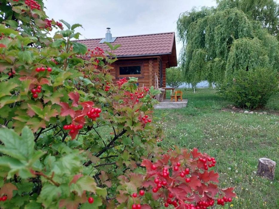 Продаж будинку Обухівський р-н с.Трипілля