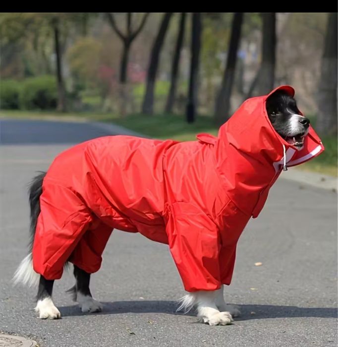 Гарні дощовики для собачки