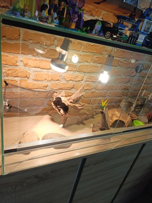 Terrarium dla zwierzątka
