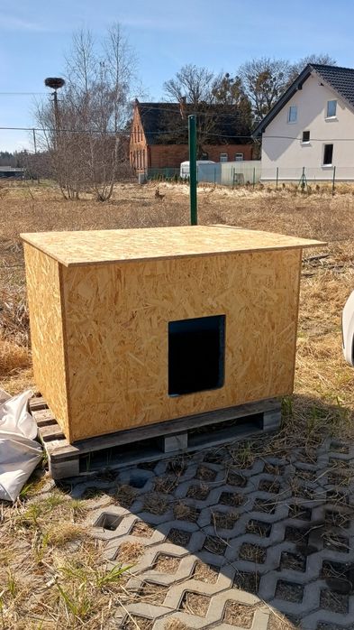 Buda dla dużego psa