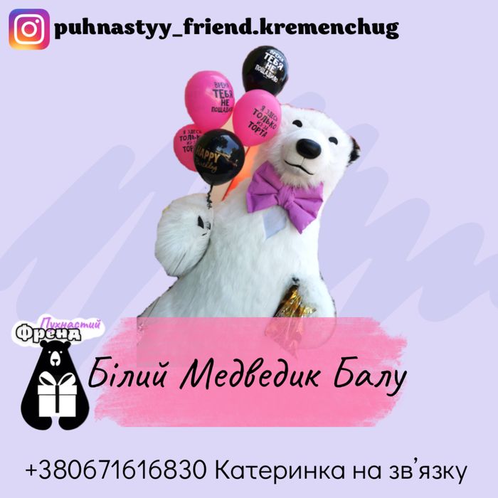 Мишка аниматор, Панда на день рождение