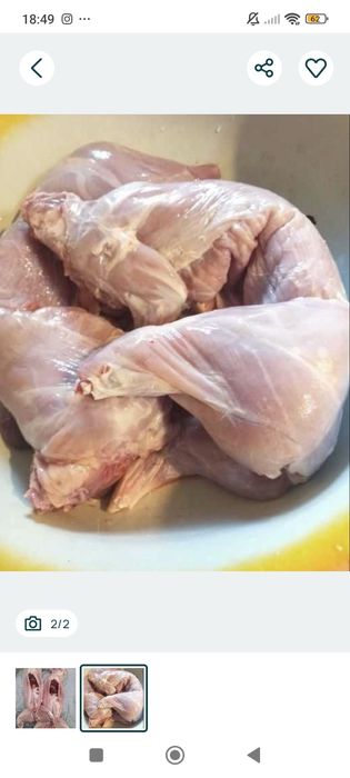 Продам м'ясо кролів