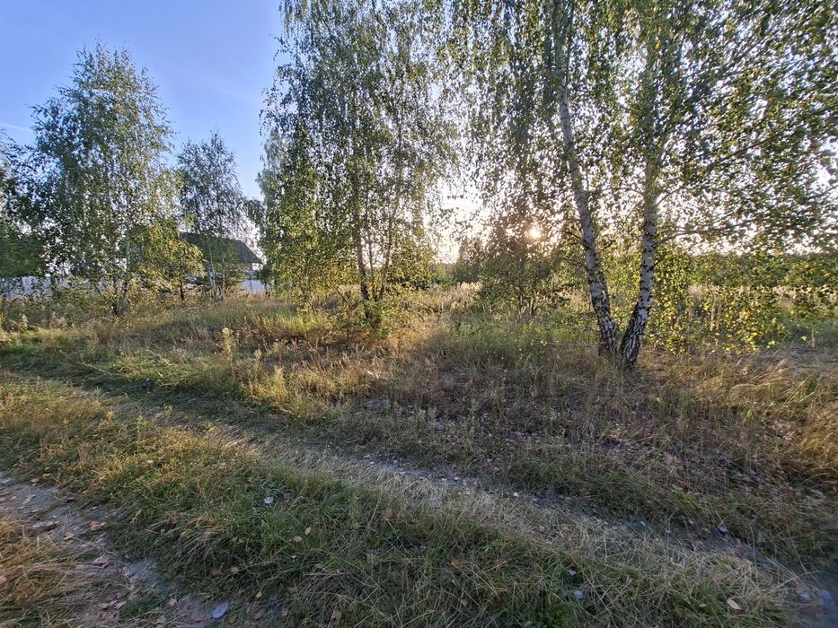 Ділянка 57 соток в класній локації біля лісу
