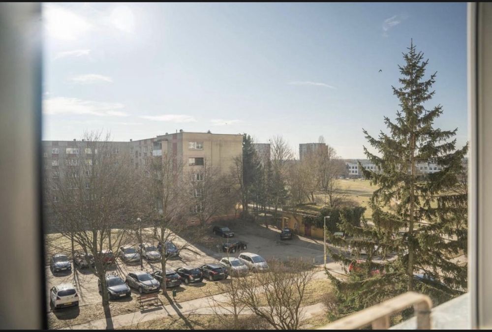 Zdjęcie 8